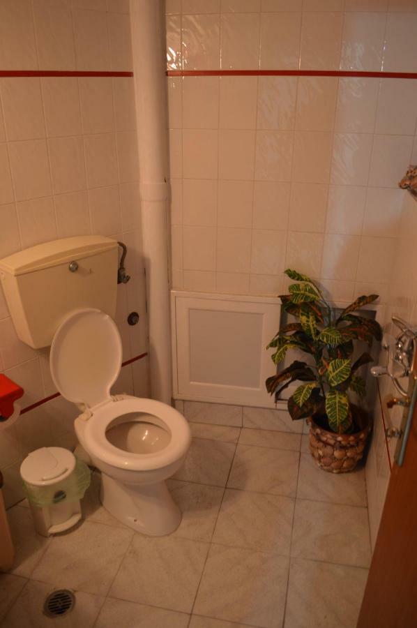 In The Center Of F Apartment *